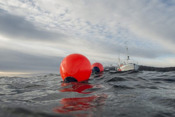 Polyform-boeien-drijvers-maru-watersport