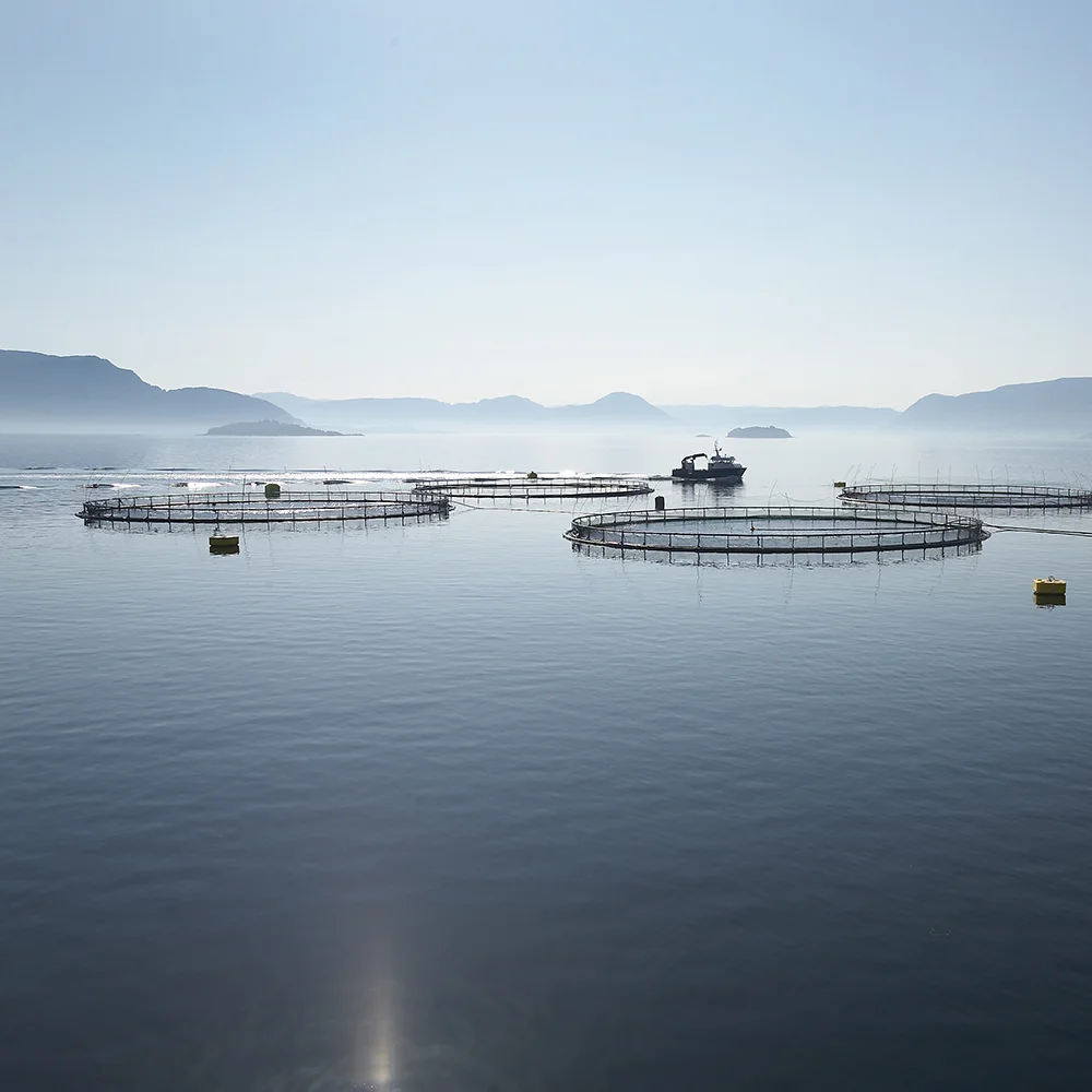 Polyform ankerboei Aqua-series geschuimd - Afbeelding 10